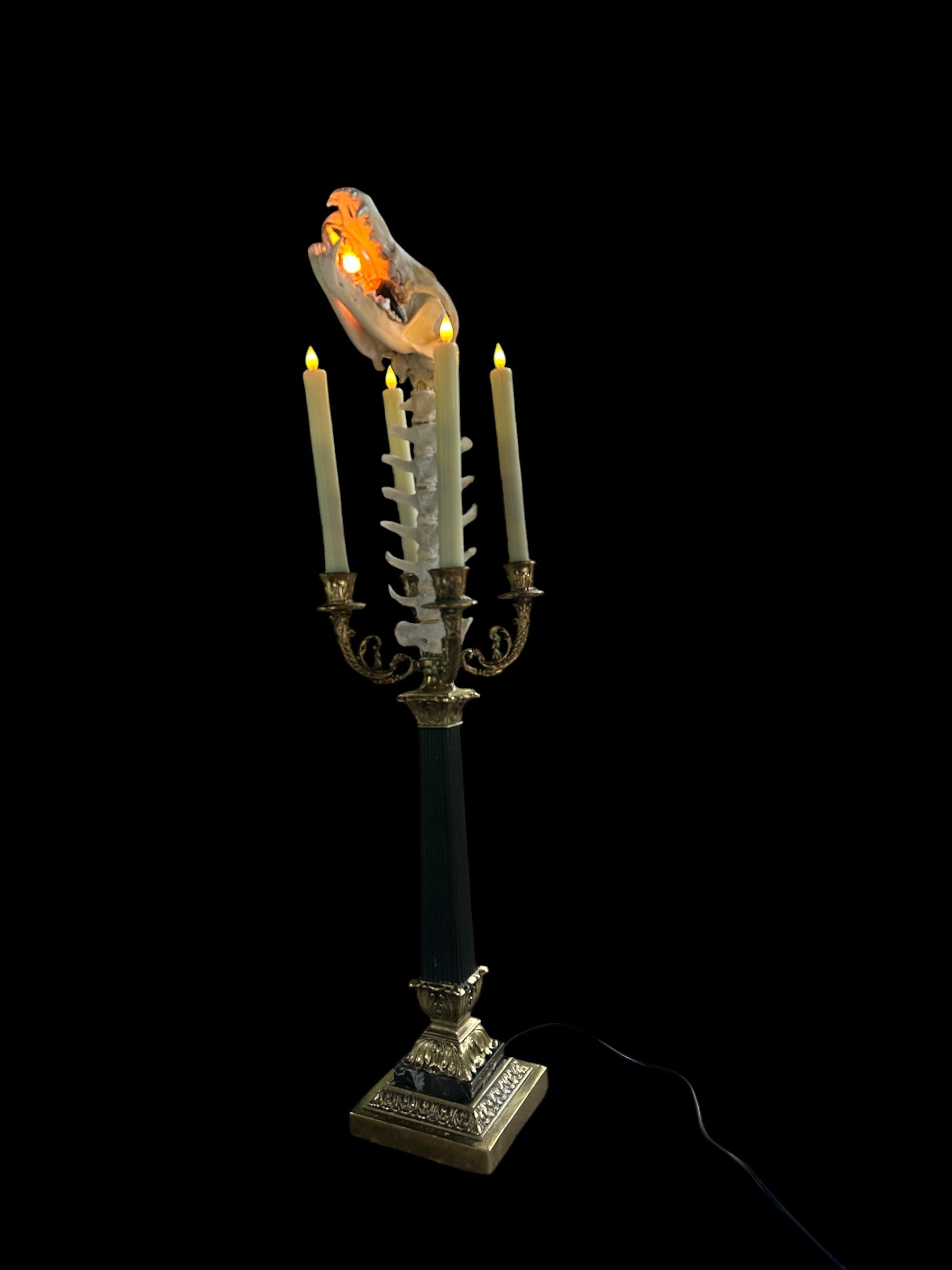 Italian Lamp with Coyote Skull and Goat Spine
